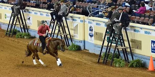 NRHA Judges School and Seminar