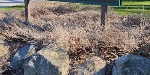 Bike Painesville ... in Mentor