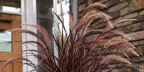 Fall Porch Pot Workshop