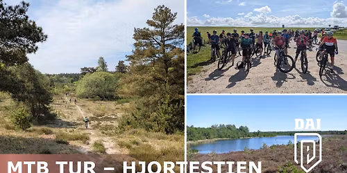 MTB Tur - Hjortestien