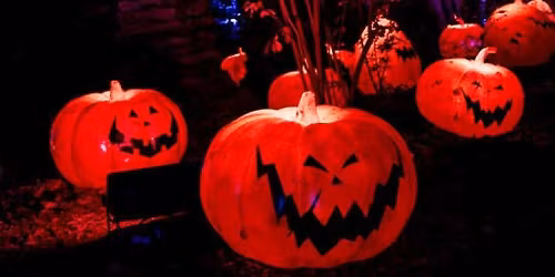 Disney Tim Burton\u2019s The Nightmare Before Christmas Light Trail