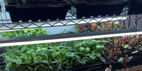 Mother\u2019s Day Weekend Plant Sale at Red Bilita Flowers