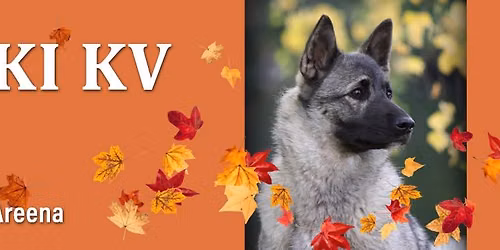 Sein\u00e4joki KV-koiran\u00e4yttely \/ Sein\u00e4joki international dog show 24.-25.10.2026