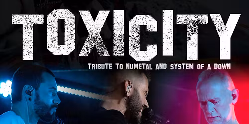 Concert "Toxicity - Tribute Band"