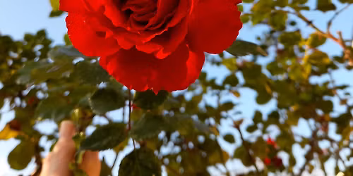 December HPSD Meeting