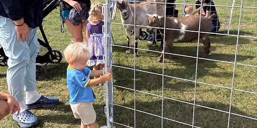 Mobile Petting Zoo at the Market