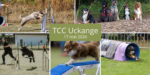 Concours d'agility \u00e0 Uckange