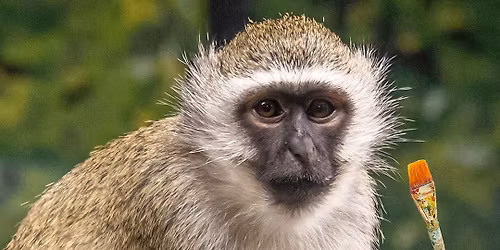 Paint and Pinot (16+ only)