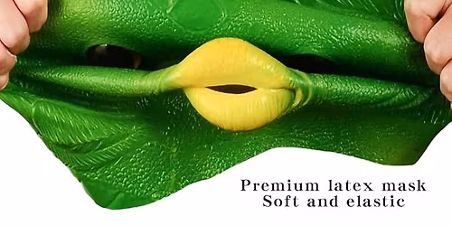 JAUNGADA KARNEV\u0100LS