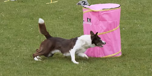 G\u00f6rliHoop mit Landesmeisterschaft Sachsen-Th\u00fcringen