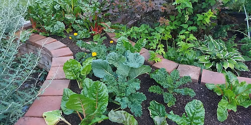 Planting Demo at the Deep Roots Garden