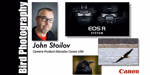 Bird Photography with the Canon EOS R System - Santa Ana