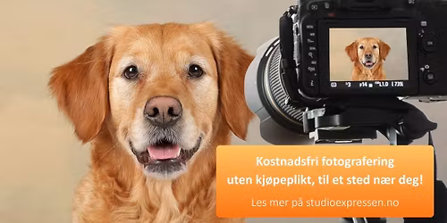 Kostnadsfri dyrefotografering hos Dogman Kongsberg!