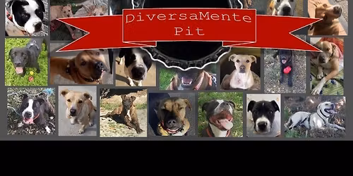 DIVERSAMENTE PIT - Matteo Castiglioni, Rebecca Della Piet\u00e0 - Sabato 6 e Domenica 7 Dicembre 2025 