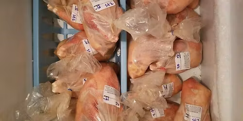 Chicken Processing 101