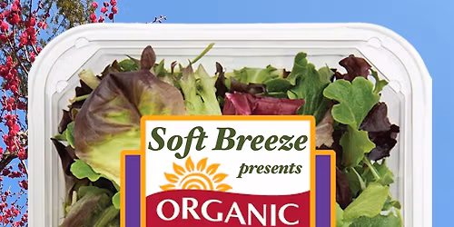 Organic Spring Mix: A Night of Music and Hanging out