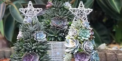 Succulent Holiday Tree Workshop