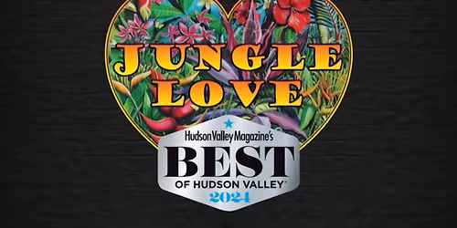 Jungle Love - Live at Tin Barn