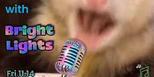 Karaoke with Bright Lights