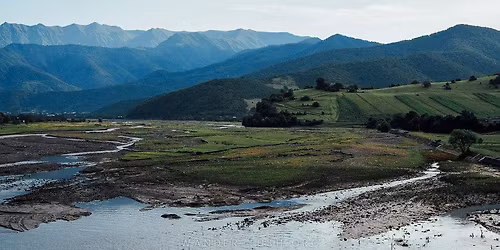 \u10d9\u10d5\u10d4\u10e2\u10d4\u10e0\u10d0 - \u10de\u10d0\u10dc\u10d9\u10d8\u10e1\u10d8\u10e1 \u10ee\u10d4\u10dd\u10d1\u10d0