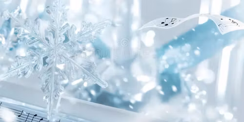 Snowflake showdown SINGO!