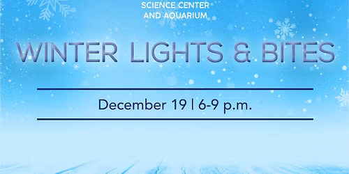 Winter Lights & Bites