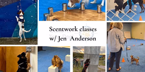 Scentwork lvls 2&3 w\/ Jen Anderson