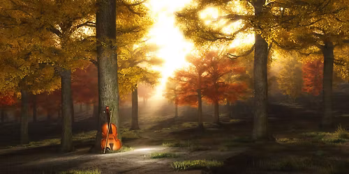 Symphonic Landscapes: A Night of Orchestral Mastery