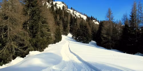 Ciaspolata al Monte Ponta, “ombelico di Zoldo”