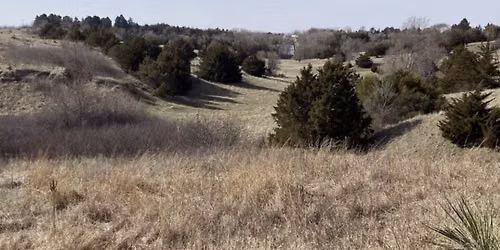 Habitat Steward Summer Series: Oldfather Prairie Restoration