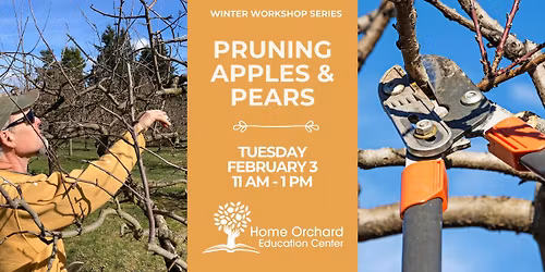 Pruning Apples & Pears