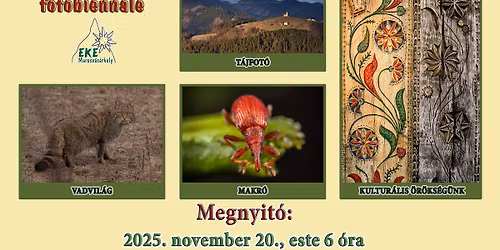 EKEArt 11 fot\u00f3ki\u00e1ll\u00edt\u00e1s