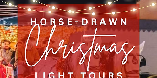 Idaho Outfitters Christmas Light Tours
