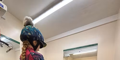 Horse Simulator Session with Ellen Berchner-Nolan at The Avon Centre, 4th Dec 