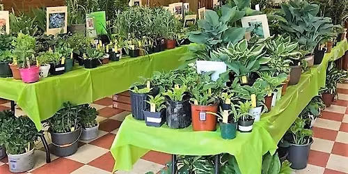 Plant Sale by Gospel Hill Garden Club 