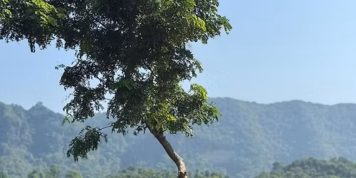 \u09ae\u09be\u09a4\u09cd\u09b0 \u09e7\u09e8\u09e6\u09e6\/- \u099f\u09be\u0995\u09be\u09df \u09aa\u09be\u09b9\u09be\u09dc\u09c7\u09b0 \u099a\u09c2\u09dc\u09be\u09df \u099a\u09a8\u09cd\u09a6\u09cd\u09b0\u09ad\u09cd\u09af\u09be\u09b2\u09c0\u09a4\u09c7 \u0995\u09cd\u09af\u09be\u09ae\u09cd\u09aa\u09bf\u0982 \u0993 \u099c\u09c1\u09ae \u09ac\u09bf\u09b2\u09be\u09b8 \u2764\ufe0f