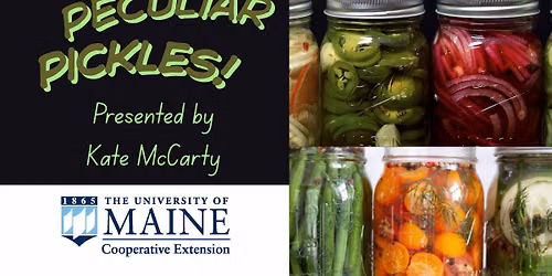 Peculiar Pickles