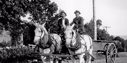 Honoring the Horse: A Legacy of Service, A Future of Sanctuary