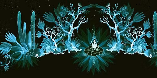 Nick Barbachano in South Hams