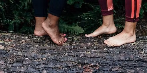 Specializacija "Darbas su k\u016bnu ge\u0161talto terapijoje"