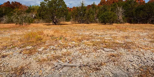 Lamar Cedar Glades & Woodlands Autumn Walk
