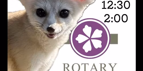 Zoozort in Janesville