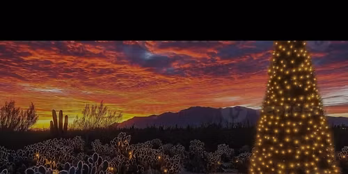 Christmas Concert with East Valley Chorale