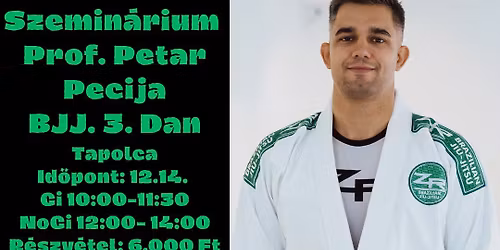 Szemin\u00e1rium, Prof. Petar Pecija