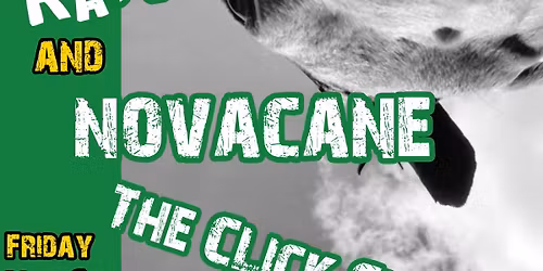 Punk Rock at The Blossoms - Rats Rats Rats & More