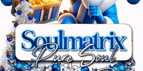 Soulmatrix Presents:- Pure Soul Christmas Party