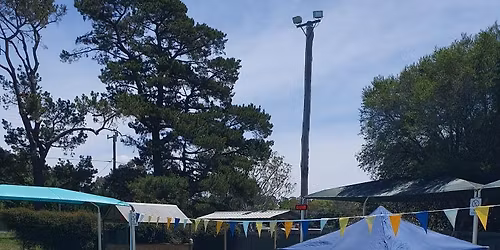 Binalong Swimming Club Learn to Swim Program