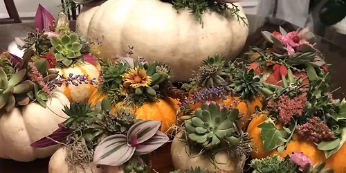 November Workshop {Succulent Pumpkins}