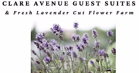 Lavender Season Opening Sips & Clips