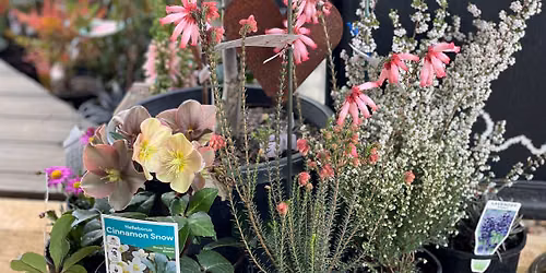 \ud83c\udf38 Spring Market Day \ud83c\udf38 